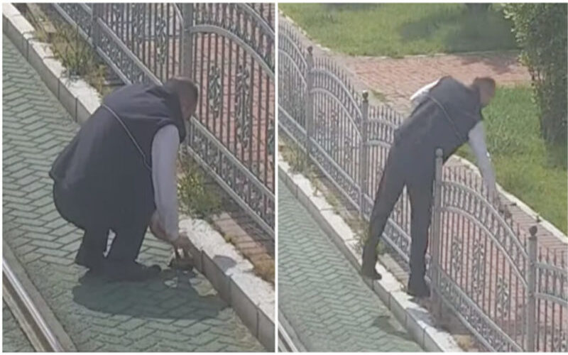  The man stops the crowded train to save the turtle from the train tracks