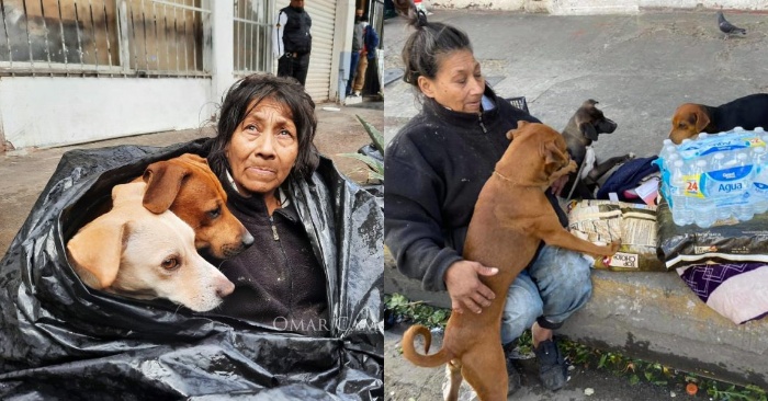  Woman living on the street doesn’t want to go anywhere without her dogs