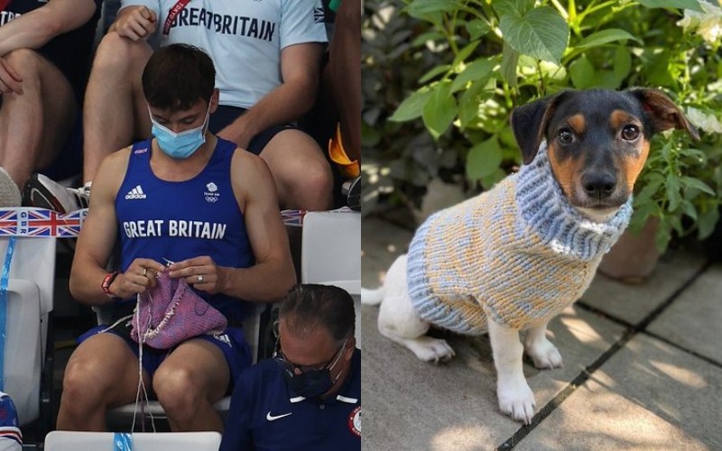  The Olympic champion wears clothes for dogs sitting right in the tribune.