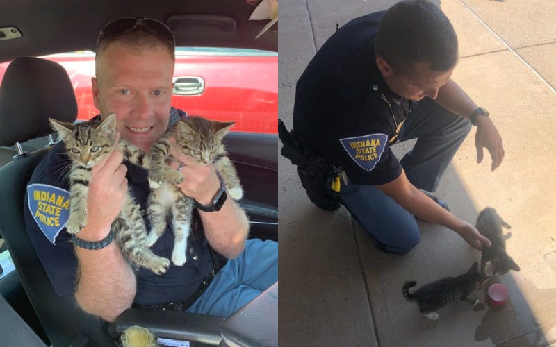  The police officer takes the kittens and takes care of them.
