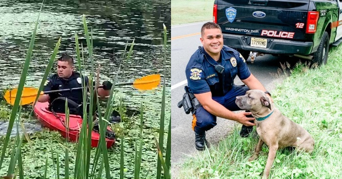  The good deed of the policeman: he saves the dog from the muddy pond