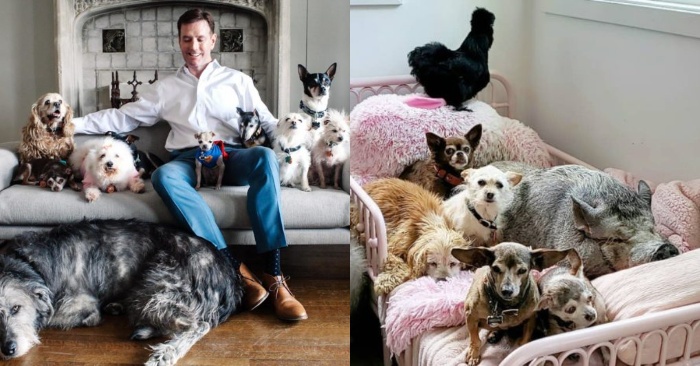  After losing his dog, this man dedicates himself to the animals and takes care of them