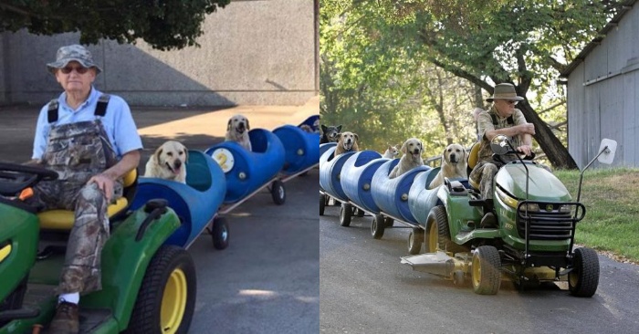  A caring old man builds an interesting train for dogs to make them happy