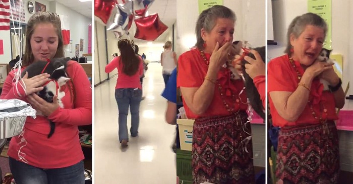  The pupils cheered their teacher who lost her cat by bringing 2 little kittens