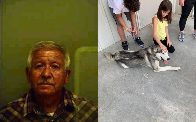  The man was imprisoned because he took the dog out of the car
