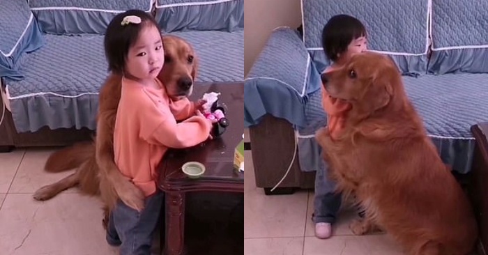  The caring dog always huggs and comforts the little girl when her mother is angry with her