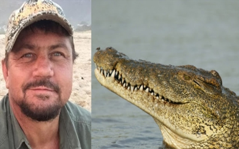  Crocodiles eat a hunter who ruthlessly kills lions and elephants