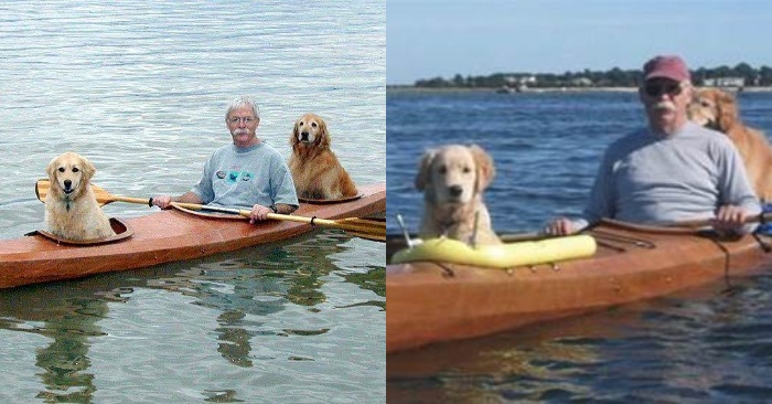  This man is doing everything possible to be able to travel on water with his beloved dogs