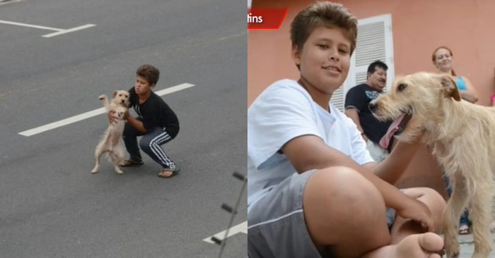  The little boy immediately runs to rescue the kitten that was hit by the car