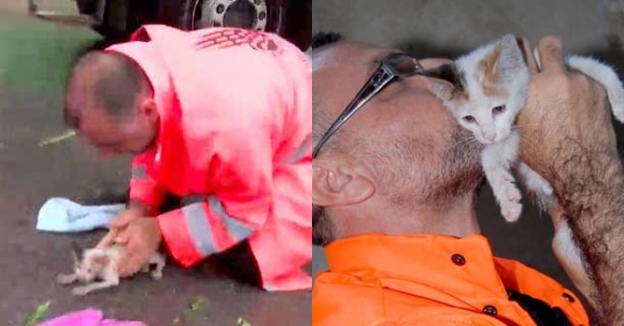  This man’s heroic move: he rescues a poor little kitten and decides to take care of her