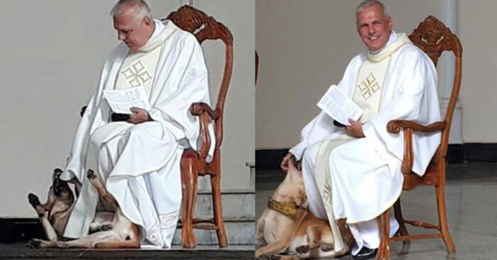  Interesting story: the dog decided to interrupt the ceremony in the church and play with one of the priests