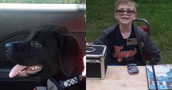  Exciting story: this boy decides to sell his most expensive thing to be able to cure a sick dog