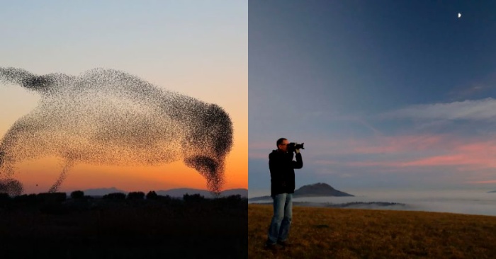  Stunning scene: photographer captures a flock of birds in the sky that shapes a giant bird