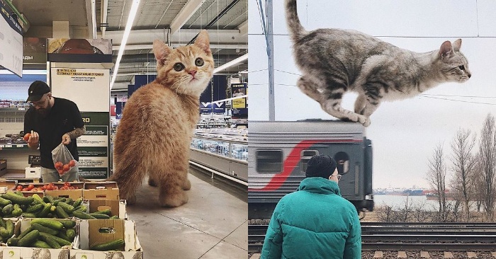  Here is an interesting story: this man showed the world where giant cats will be next to us