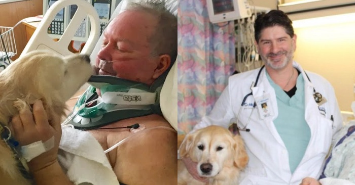  A shocking story: this wonderful dog lay on his owner for a day so that he would not freeze