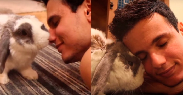  Here is a touching story: after a long time the rabbit and the owner are together again, they are reunited