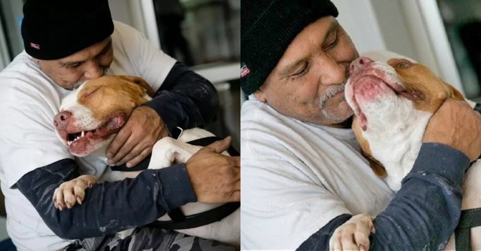  A very touching story: a man had to leave his dog, promising to return definitely