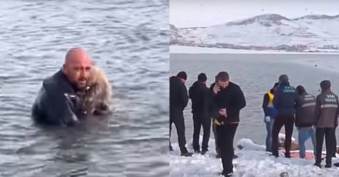  A commendable act by a police officer: he manages to save a small dog drowning in the water
