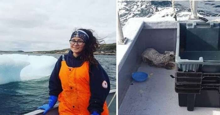  The fishermen were surprised to find some kind of living thing on the iceberg and wanted to know what it was