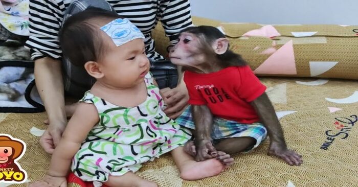 Funny scene: this little monkey just enjoys the water during the bathing of the child