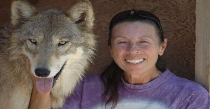  This woman decided to adopt and take care of 3 puppies, they grew up as wolves