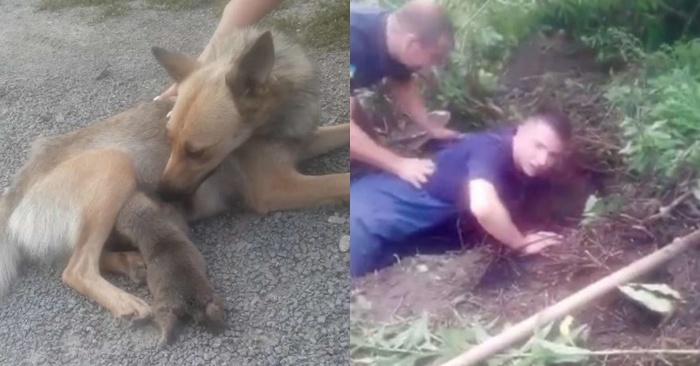  After a heavy rain, the puppy was covered with earth, fortunately the boys saved the baby