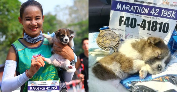  The commendable act of this girl: one of the participants of the marathon picked up a puppy and carried 30 km