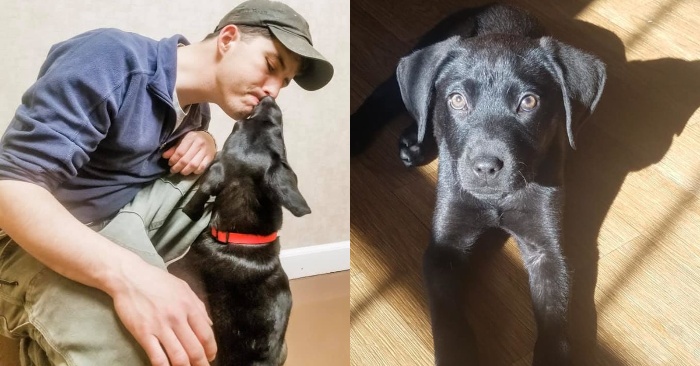  Nobody wanted to adopt a deaf dog, but the deaf boy realized this and started taking care of the puppy