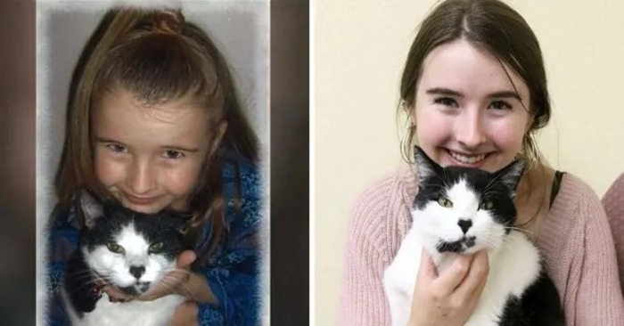  After losing a cat, this caring kind girl decided to take care of animals until she found her cat in a shelter