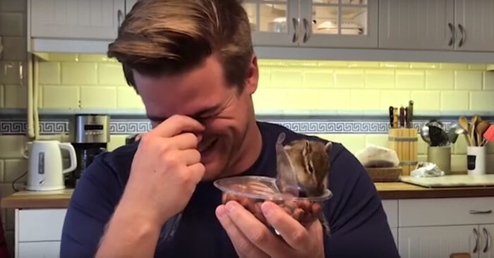  Funny scene: this wonderful and cute chipmunk struggles to open a package full of nuts