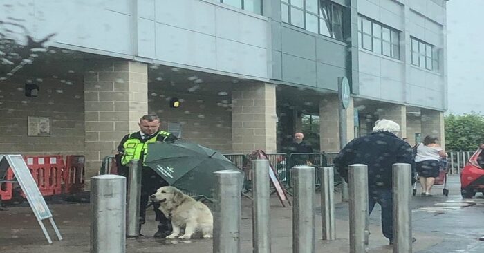  A touching scene: a caring security guard of the supermarket, seeing how the dog gets wet, gave his umbrella to him