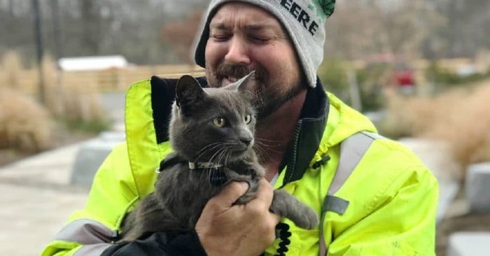  A truck driver once saved a small cat, then lost him, and after a while found the same cat again