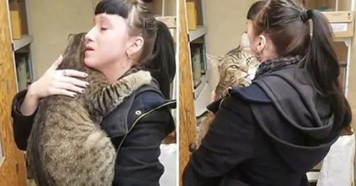  This adult cat hugged the woman very tightly, she could not take the cat, but it all helped the animal