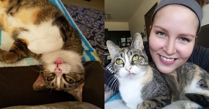  This girl went to the shelter with a request, according to which she would take a cat that no one wanted