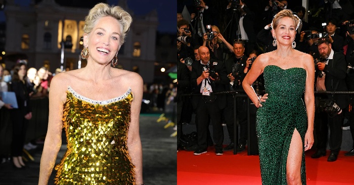  In the same swimming trunks: 64-year-old Sharon Stone is not shy about posting her candid topless photos