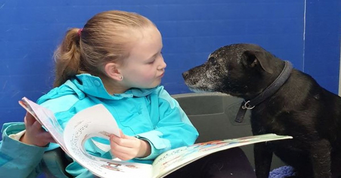  A wonderful story: this little girl was determined to help all the nervous and scared animals by reading stories to them