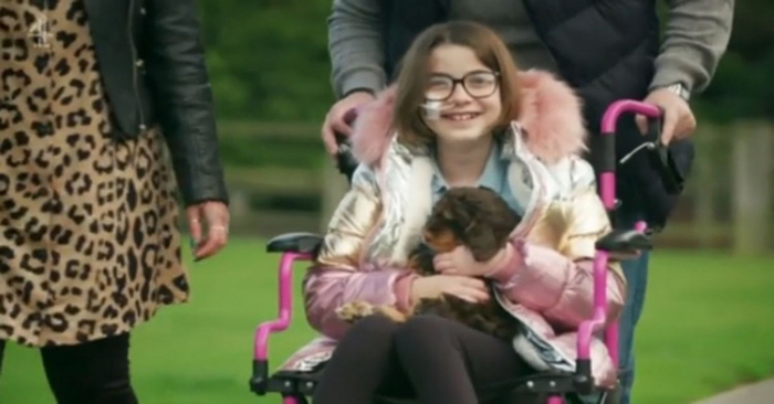  It’s probably love at first sight: the closeness between a disabled girl and a puppy is really touching