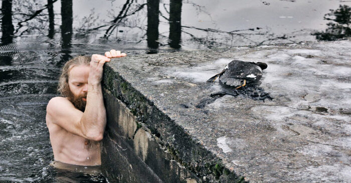  Heroic deed: this man jumped into the icy water without hesitation to save the duckling
