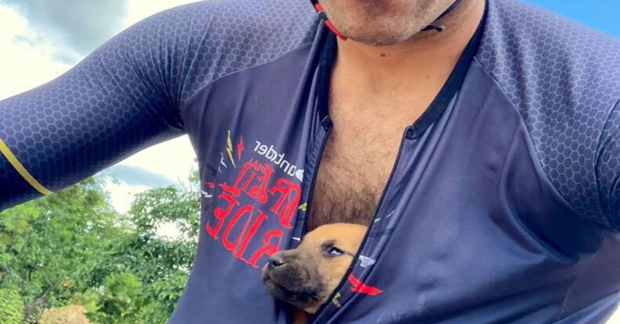  Amazing story: cyclists took 5 puppies, put them in their jackets and carry them into safety  As the cyclists rode, something unusual caught their attention.