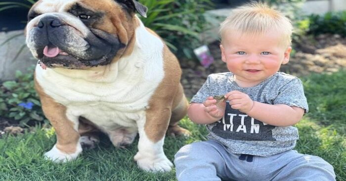  What a beautiful sight: this baby’s mom shared the bond between her toddler and her dog