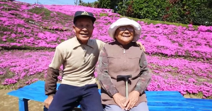  True love: this man planted almost 1000 flowers in the garden to please his beloved wife