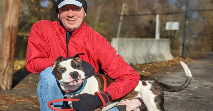  Beautiful story: this man decided to help the shelter and take 50 dogs for a walk on his 50th birthday