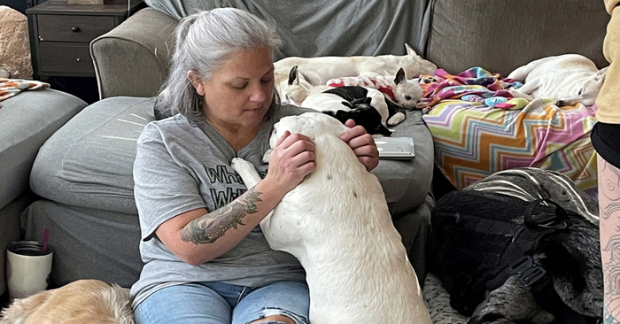  A wonderful story: this caring woman renovated her house so that old and sick dogs could live there