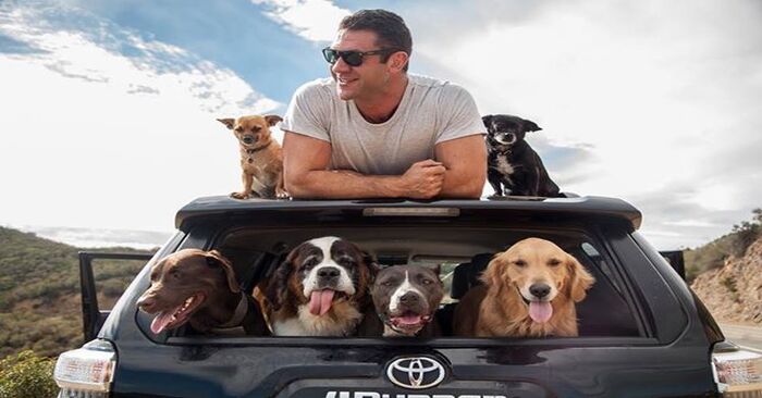  Amazing decision: this man dropped everything and started traveling the states and rescuing many dogs