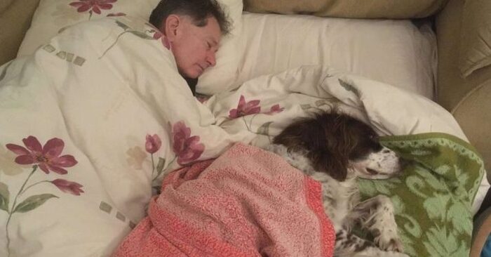  Much love: this man sleeps on the couch with his beloved dog so that the dog does not feel alone