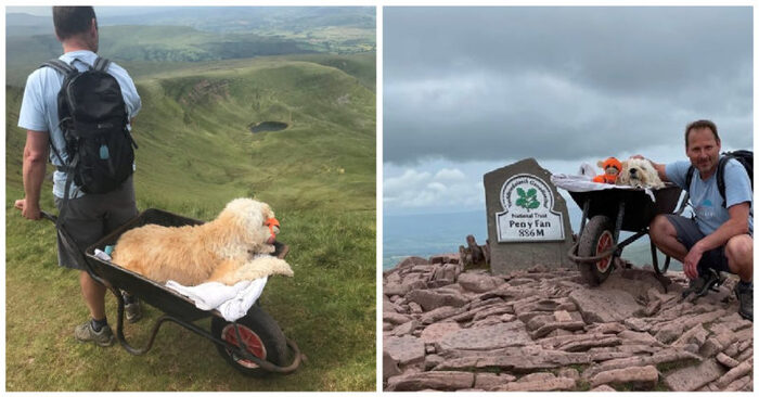 A touching story: this man takes his dog to his beloved mountain before he dies, wanting to make him happy