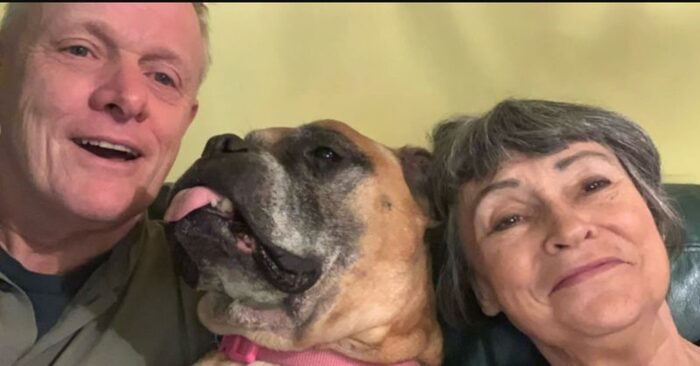  A touching story: this couple adopts a sick dog so that the animal can live out the last years of its life in love