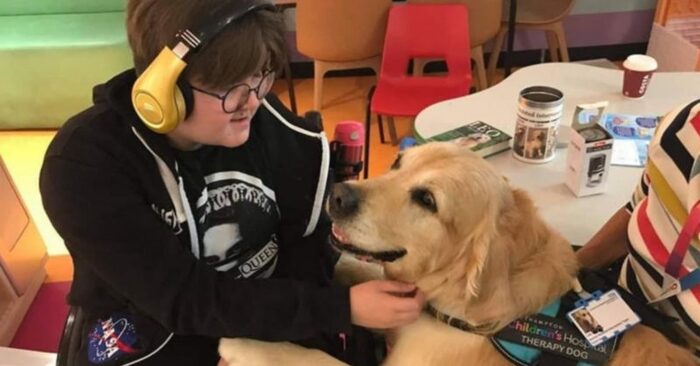  Amazing scene: the kindest therapy dogs were brought to the hospitalized children to calm them down