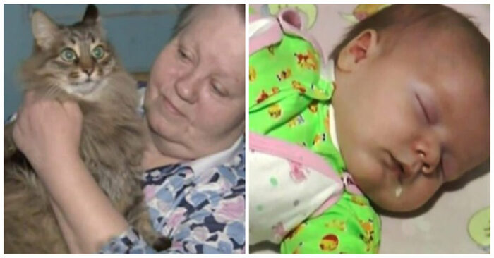  Believable story: this baby was left in a box in the basement and luckily was rescued by this cute cat