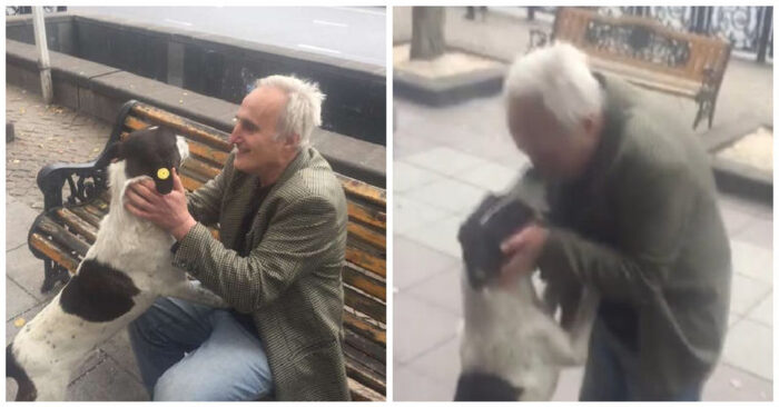  What a touching scene: years later this man was able to reunite with his beloved dog on the street